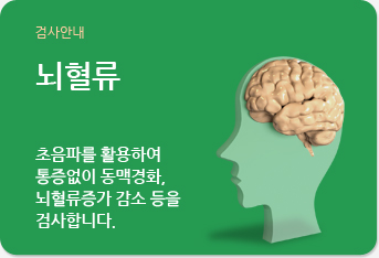 뇌혈류