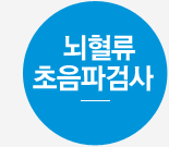 뇌혈류 초음파검사