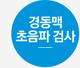 경동맥 초음파 검사