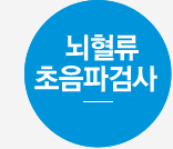 뇌혈류 초음파검사
